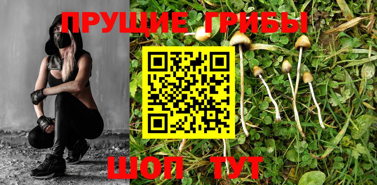 Дальнереченск  Псилоцибиновые грибы GOLDEN TEACHER  Вход с VPN 